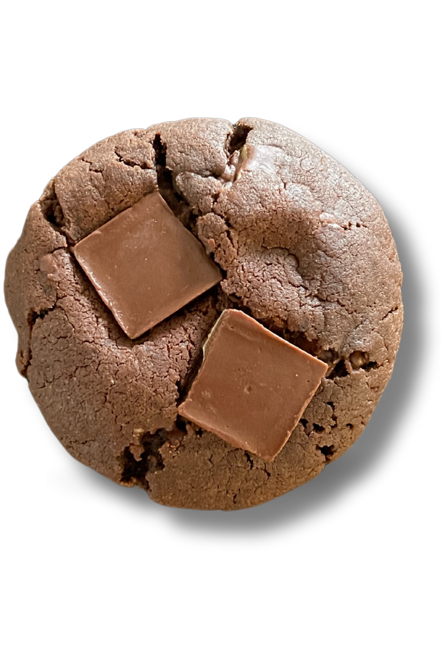 Double Chocolate Chip Mint Cookie