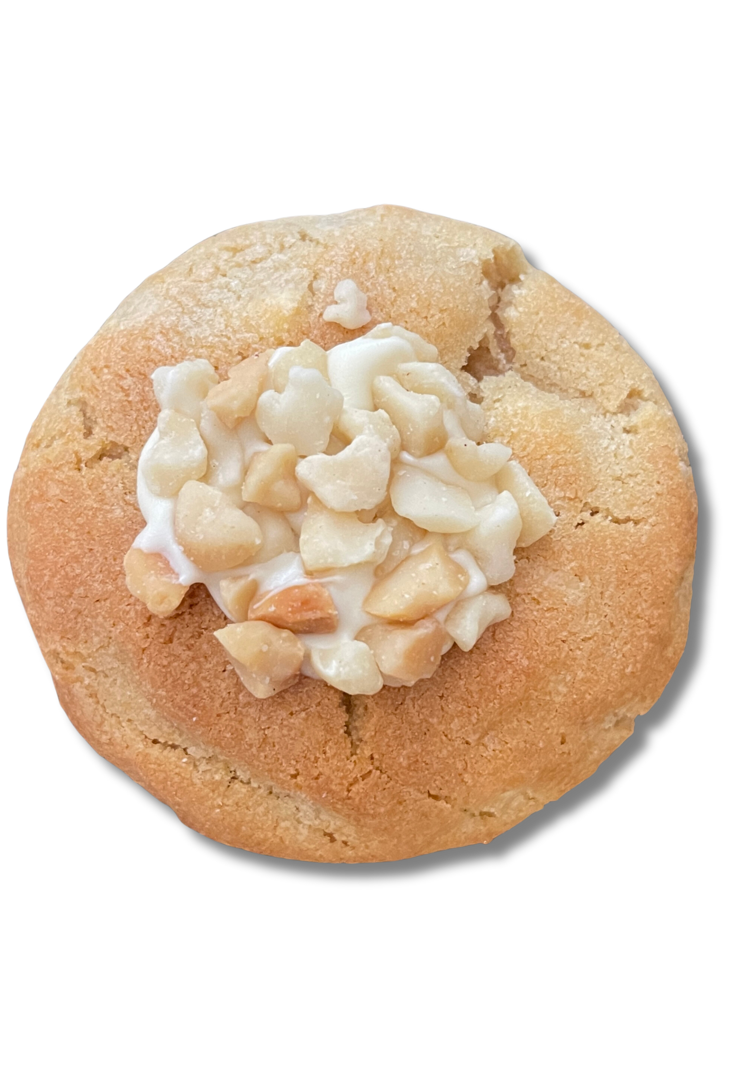 White Chocolate Macadamia